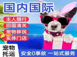虹桥航空物流国际宠物托运 【国